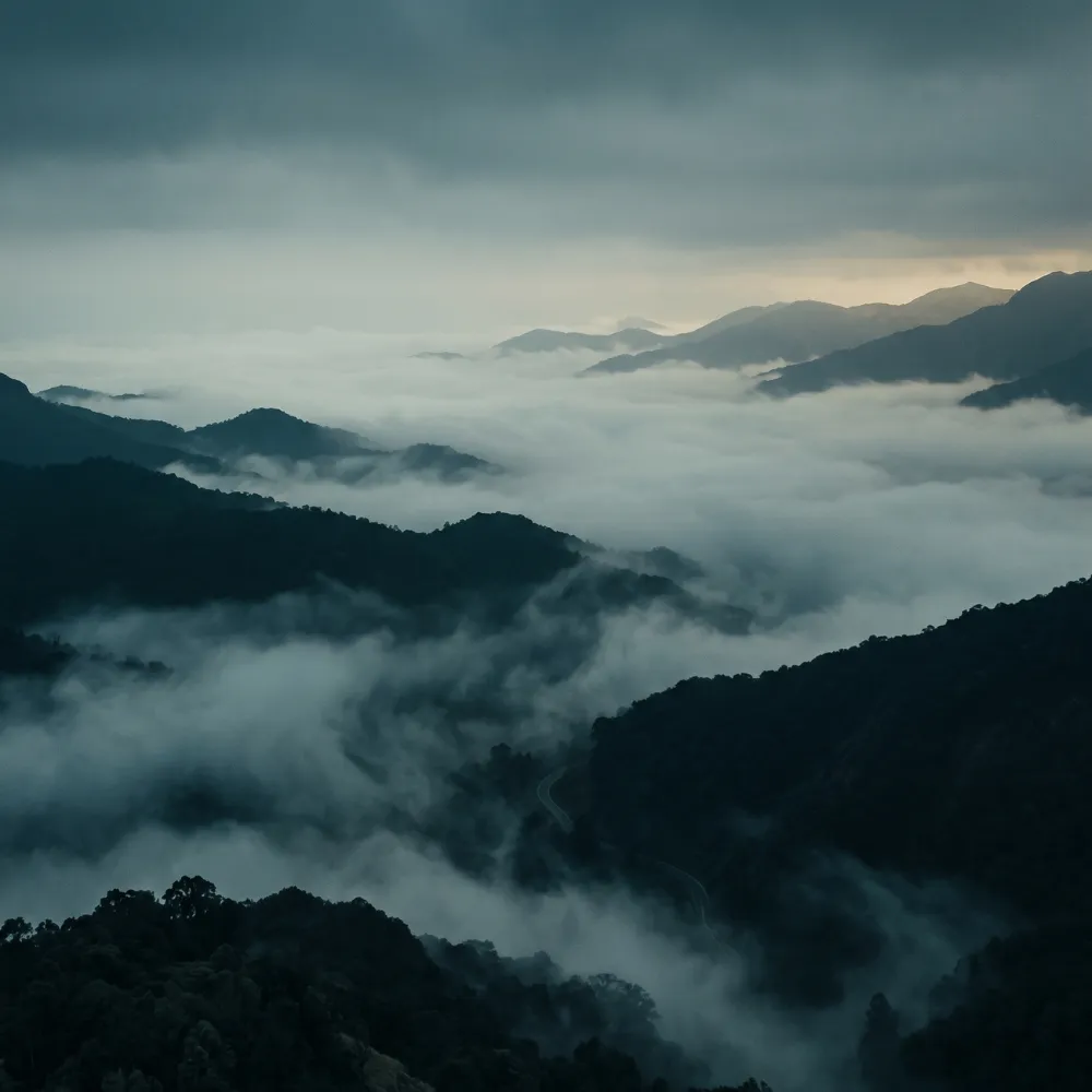Coorg hill station tour with coffee plantations and Abbey Falls